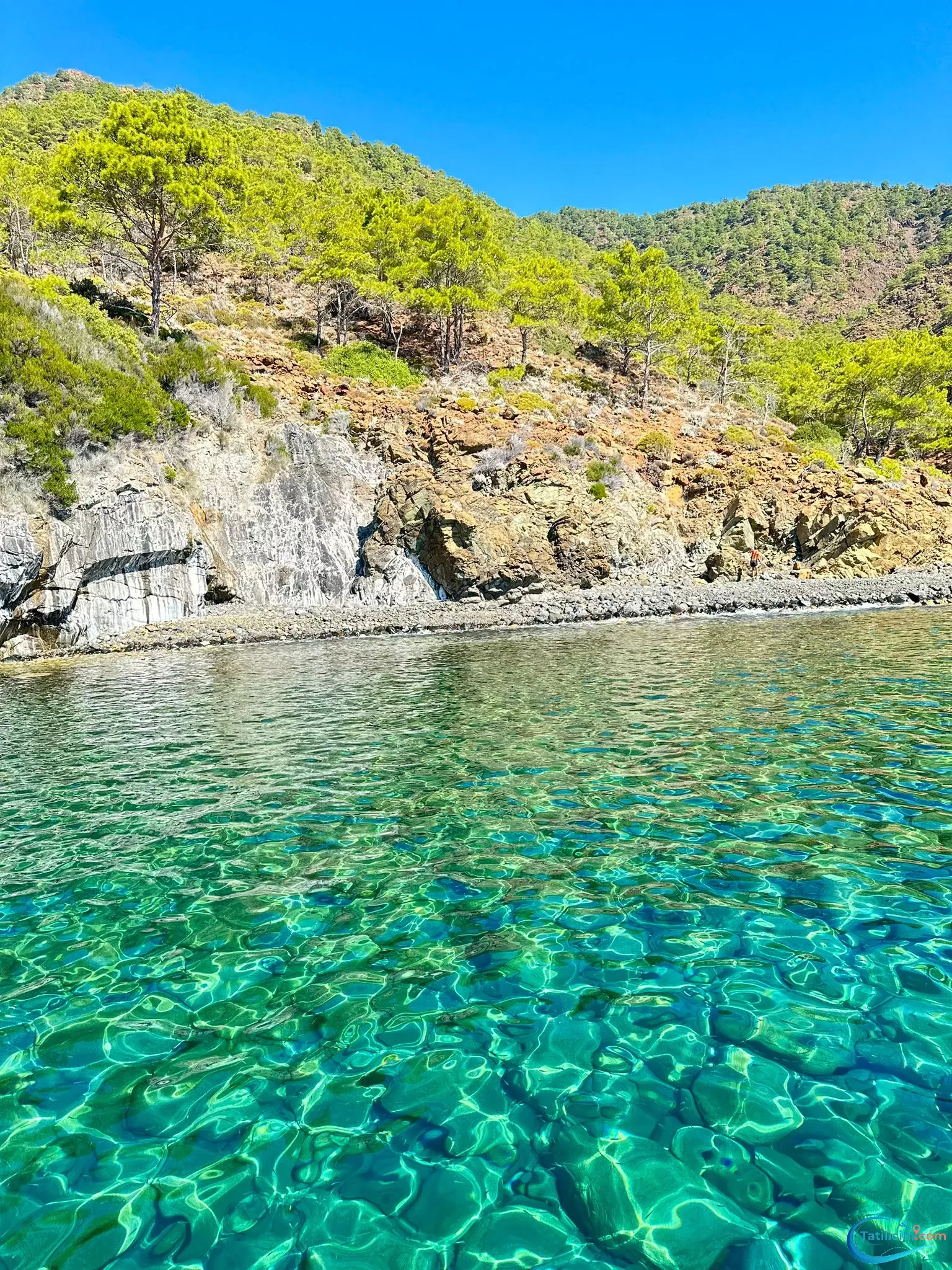 tatilcim.com Adrasan Asya Apart 